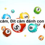 Hé Lộ Cách Bắt Bạch Thủ Đầu Câm Đuôi Câm Tại VNQ8