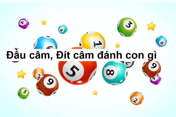 Bạch Thủ Đầu Câm Đuôi Câm