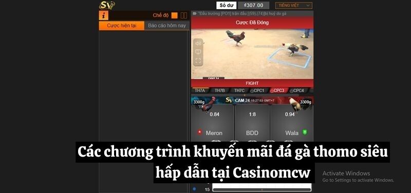 Các chương trình khuyến mãi đá gà Thomo siêu hấp dẫn tại Casinomcw 