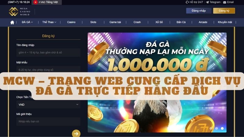 Mcw – Trang web cung cấp dịch vụ đá gà trực tiếp hàng đầu
