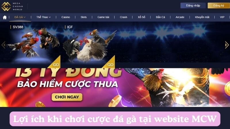 Lợi ích khi chơi cược đá gà tại website MCW