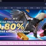 Chơi Cược Trực Tiếp Đá Gà Hấp Dẫn Tại Website MCW